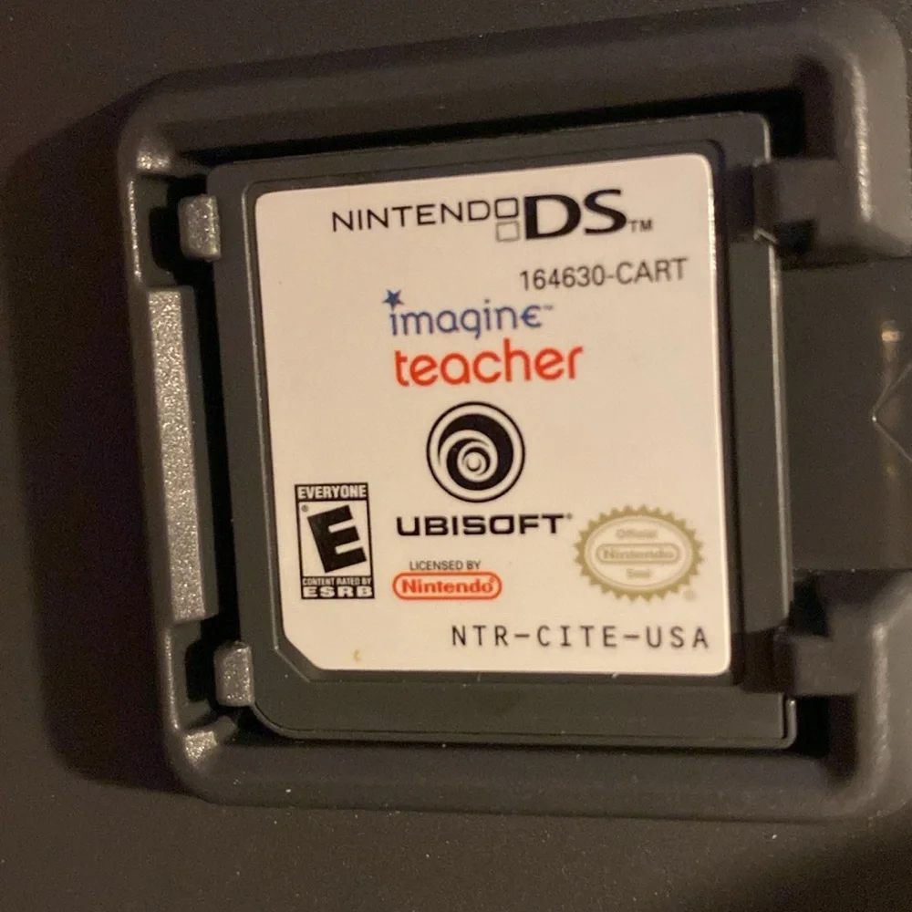 Nintendo DS imagine teacher game